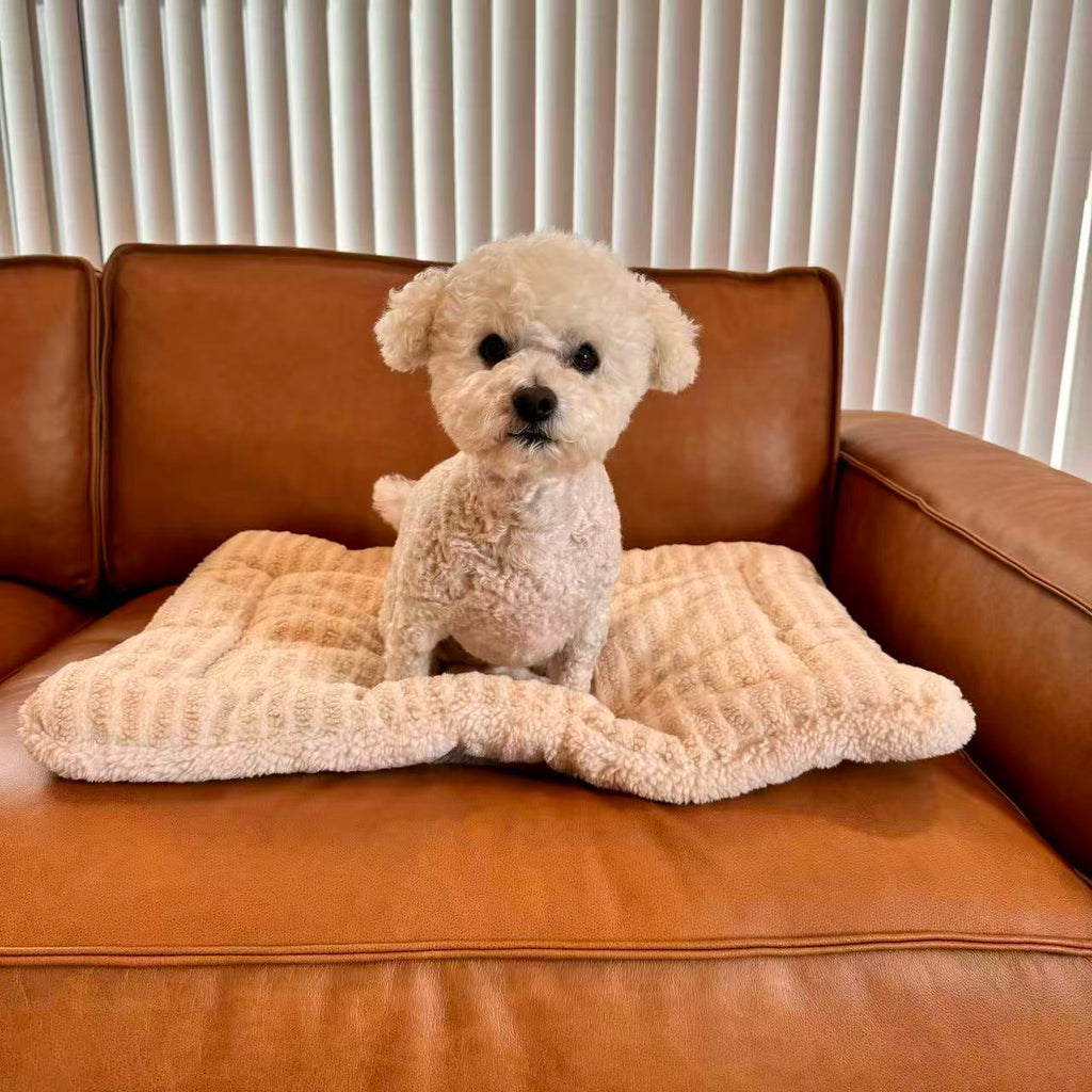 Reversible Plush Pet Mat