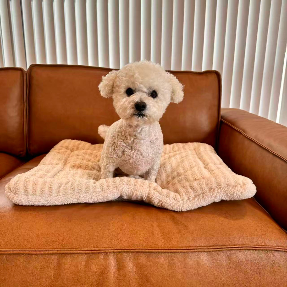 Reversible Plush Pet Mat