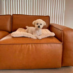 Reversible Plush Pet Mat