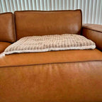 Reversible Plush Pet Mat
