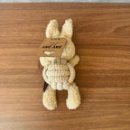 Plush Bunny Squeaky Rope Dog Toy