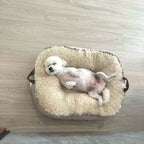 Cosy Plush Pet Bed